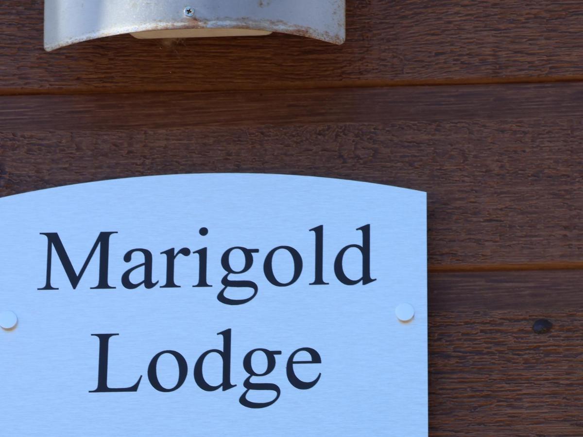 Marigold Lodge Saltburn-by-the-Sea Kültér fotó